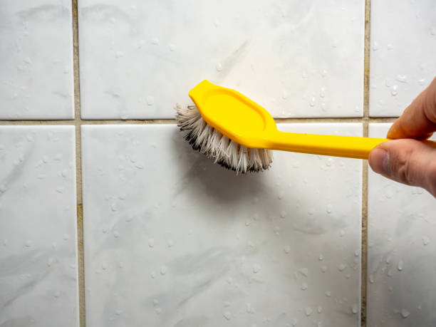Trusted College Park, GA Mold Remediation Experts