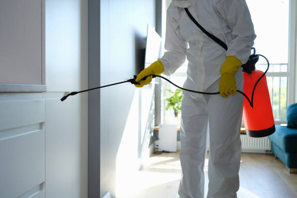 Best Commercial Mold Remediation in College Park, GA