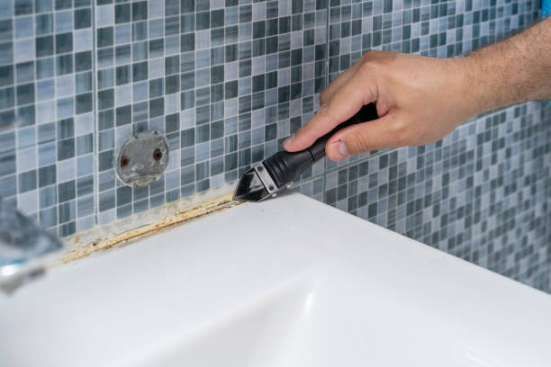Best Mold Remediation for Specific Building Types in College Park, GA