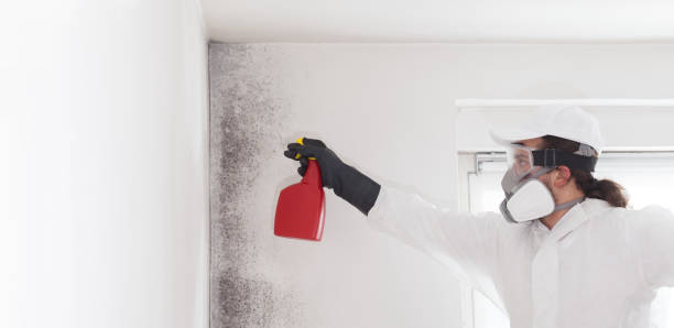 Best Residential Mold Remediation in College Park, GA