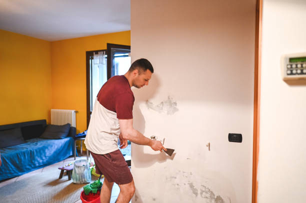 Best HVAC Mold Remediation in College Park, GA